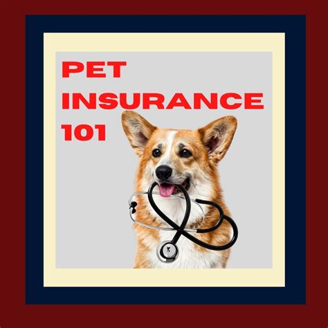 dogs health insurance